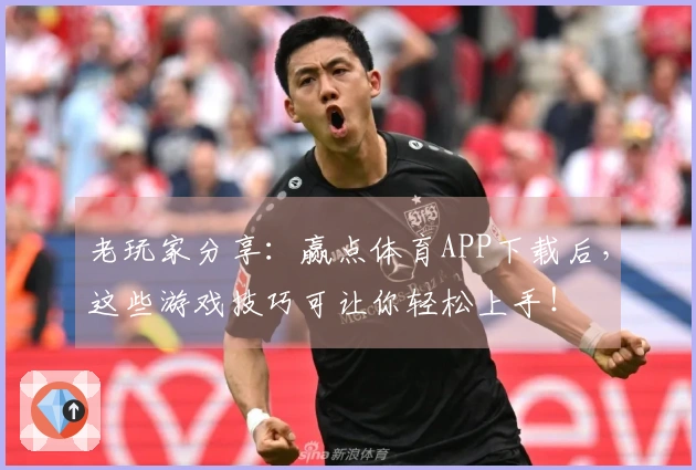 老玩家分享：赢点体育APP下载后，这些游戏技巧可让你轻松上手！