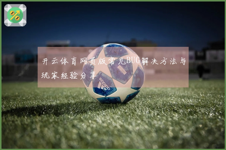 开云体育网页版常见BUG解决方法与玩家经验分享